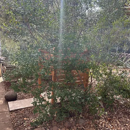 Vakantiehuis Domo Austinu - *