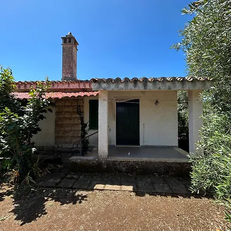 Domo Austinu - Ferienhaus