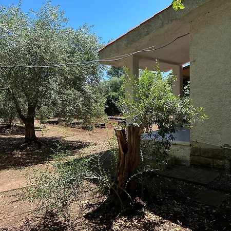 Domo Austinu - Ferienhaus